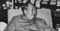 Mao-hoang-de-do