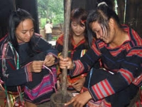 Nguyễn Minh Tuấn. Bình đẳng giới trong gia đình người dân tộc Ê Đê ở Đăk Lăk