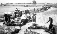 Trần Ngọc Dũng. Thương mại Việt Nam trong cuộc khai thác thuộc địa lần thứ nhất qua tư liệu của người Anh