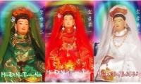 Nguyễn Ngọc Mai. Thực hành tín ngưỡng thờ Mẫu Tam phủ: Một vài đặc trưng