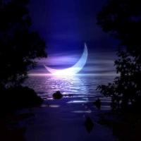 Hình đại diện của thành viên