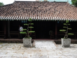 Kientructongiao04